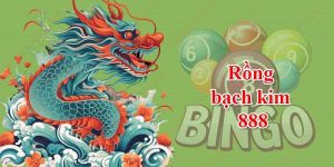 Lô top rồng bạch kim là gì? Dự Đoán Chính Xác Miễn Phí 100%