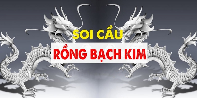 Hướng dẫn chi tiết người chơi cách soi cầu Lô top rồng bạch kim chuẩn xác nhất