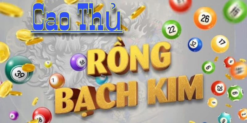 Kinh nghiệm để soi cầu Lô top rồng bạch kim